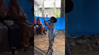 Cdanursari Langgam Nyamleng