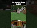 Letzter Pillager Im Raid #shorts #shortsfeed #minecraft #gaming #minecraftshorts #minecraftmemes