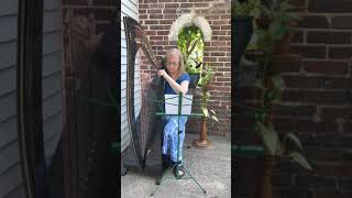 Suzanne Shields Performing Scarborough Fair On Celtic Harp.