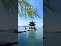 7-Day Trip to China Shanghai👉Hangzhou👉Nanjing #chinatravel #travel #Shanghai#Hangzhou#Nanjing