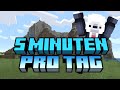 Minecraft 5 MINUTEN Pro Tag