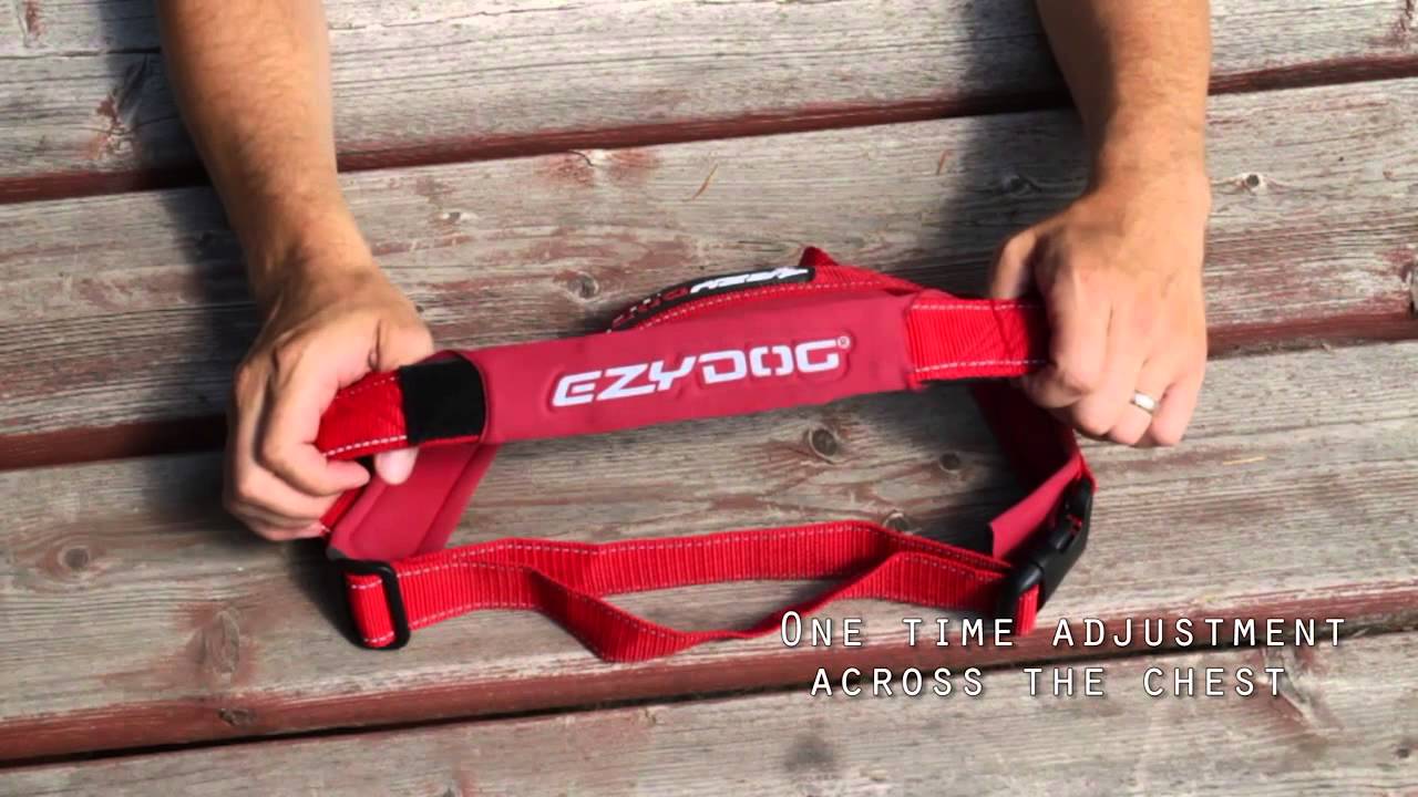 The Ezydog Quick Fit Harness From YouTube