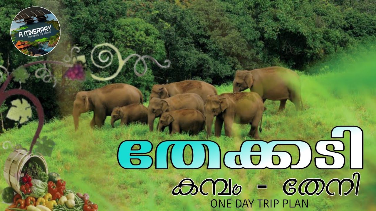 തേക്കടി - കമ്പം,തേനി ഒരു one day trip പോയാലോ | Malayalam travel vlog 