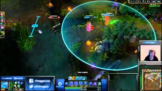 Amazing Anivia Wall by Froggen