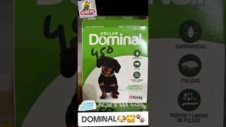 ig: superpetoficial_ 🐾 #shortvideo #enbuscadelosmejoresprecios #mascotas #pets #SUPERPET