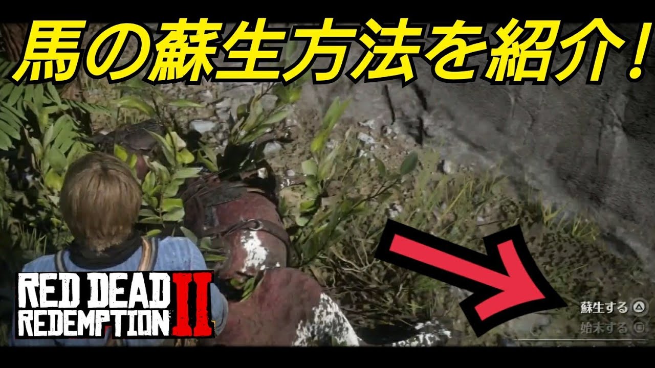 馬の蘇生方法を紹介 Rdr2 Red Dead Redemption2 レッドデッドリデンプション2 馬 死亡 瀕死 軍馬 野生の馬 飼い馬 血統書 Youtube