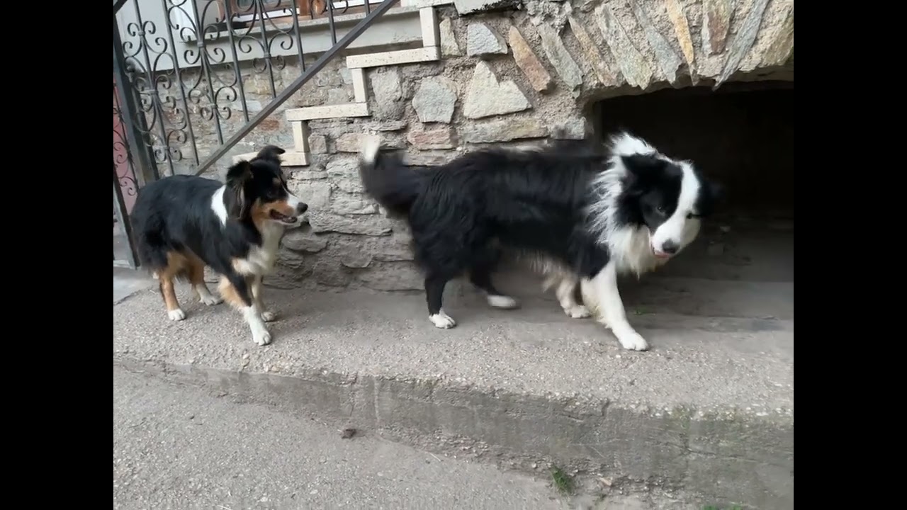 2023.07.08 - Kuzuri játszana Archieval