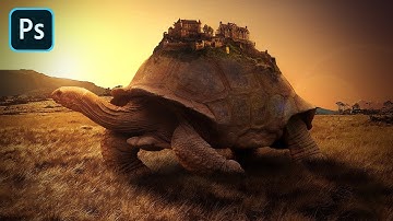 Big Turtle Photo Manipulation Photoshop | Satisfied Official