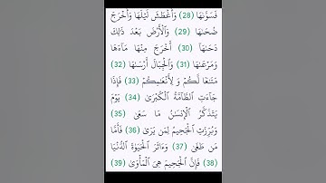 سورة النازعات - الشيخ علي الحذيفي