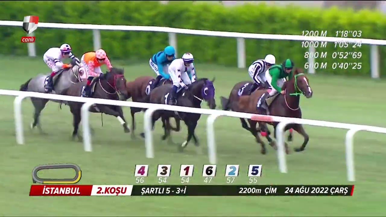 🥇Giant Dream by RED GIANT