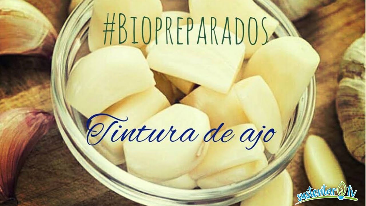 Biopreparado con ajo - YouTube