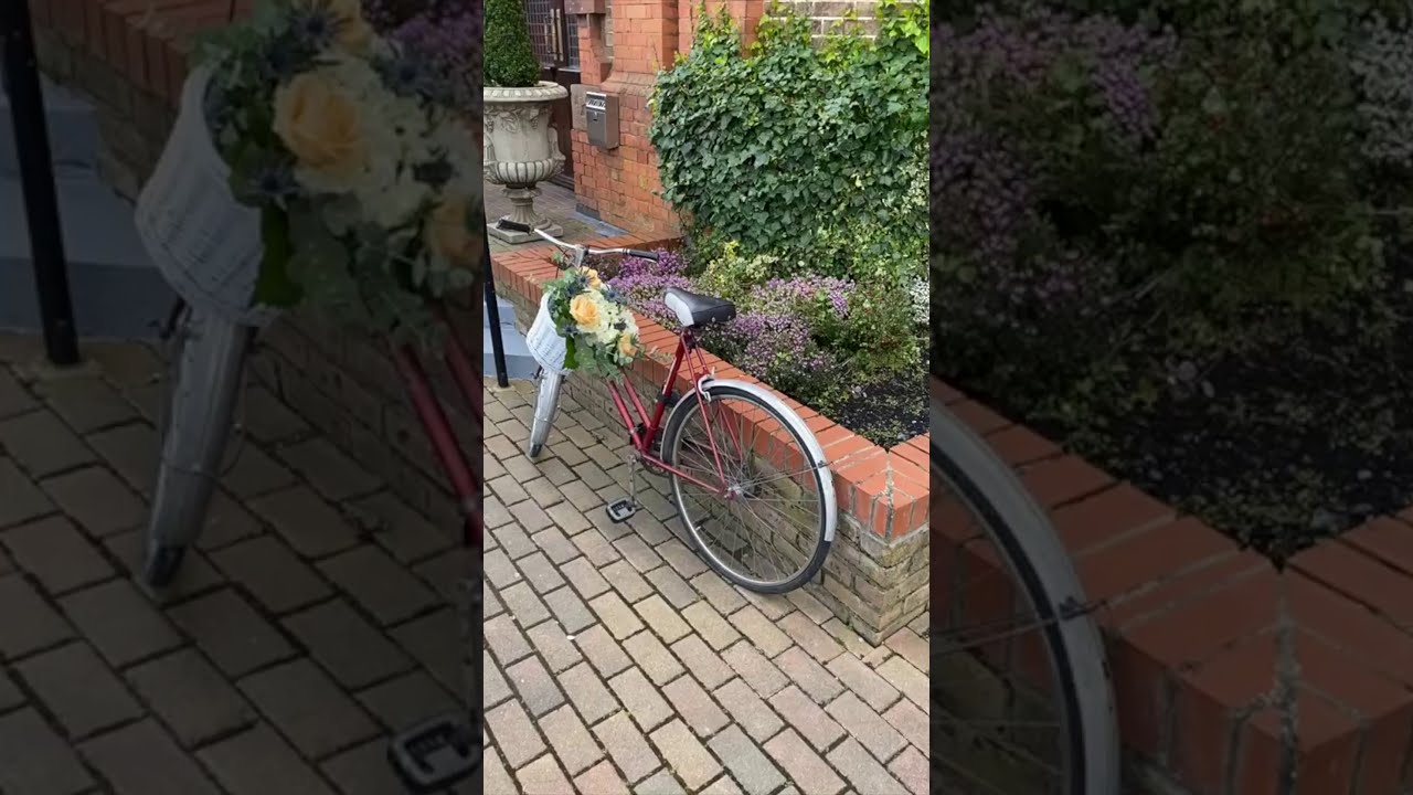 Thomas Prior Hall Wedding Venue Show Around | Historic Dublin Venue Tour | WeddingSuppliers.ie