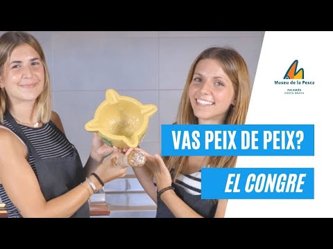 Vídeo: Com Cuinar El Congre