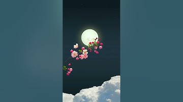 تلاوة هادئة تريح القلب ❤😴 مقام الكرد بصوت عادل العتّابي