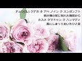 シン・スンフン 신승훈  Would you marry me(日本語字幕・韓国語発音ルビ)