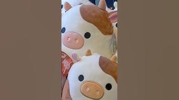 I want my own WHITE COW SQUISHMALLOW planet! #squishmallows #shorts
