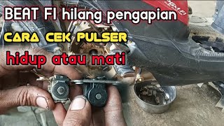 HOW TO KNOW IF A PULSER IS STILL ALIVE OR DEAD