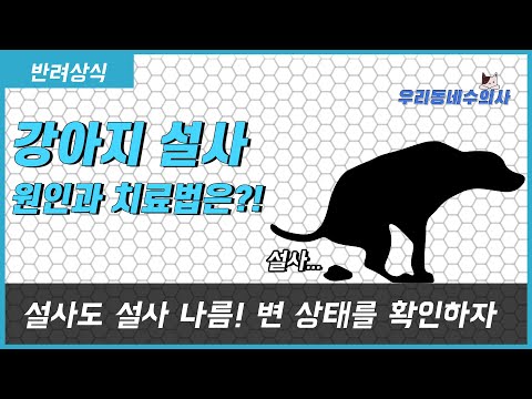 설사의 원인과 종류별 유형