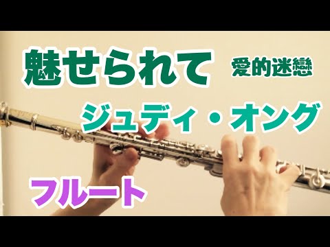 魅せられて/ジュディ・オング【フルートで演奏してみた♪】愛的迷戀　　Love Is Calling Me