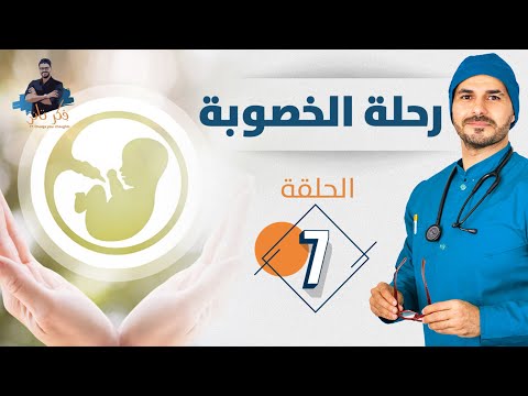 ٧ زيادة الخصوبة واهم المعادن والفيتامينات المؤثرة على الخصوبة و الانجاب