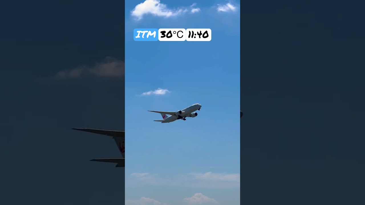 Boeing787 Dreamliner JAL Summer Takeoff Osaka International Airport #jal #boeing787 #takeoff