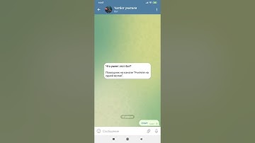 Как создать чат-бот для телеграм