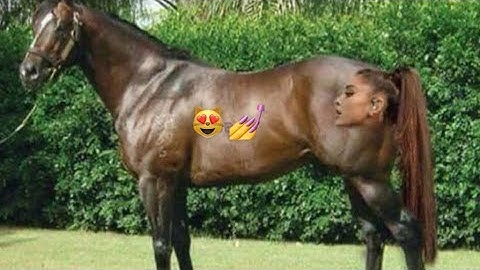 7 minutes and 27 seconds of floptok videos to start ur weekend 🥳