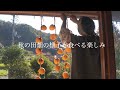 田舎暮らし vlog｜我が家のスペシャルな手巻き寿司と手まり寿司｜秋の田畑の様子｜50代田舎暮らし｜＃15