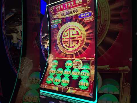 juego del pollo. #juegos #apuestas #real @YouTube
