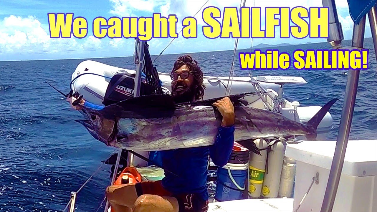 We Caught a Sailfish Sailing to St. Vincent! - Episode 17