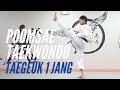 Taekwondo poomsae taegeuk 1 jang 1