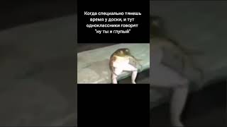 мем про лягушку которая сидит