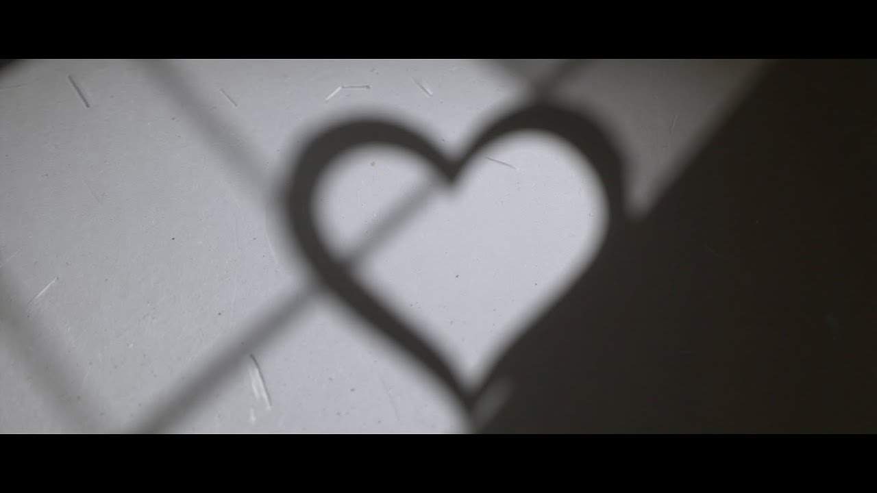 my brain broke today again alone, the death of my best friend. My only true. I will miss you