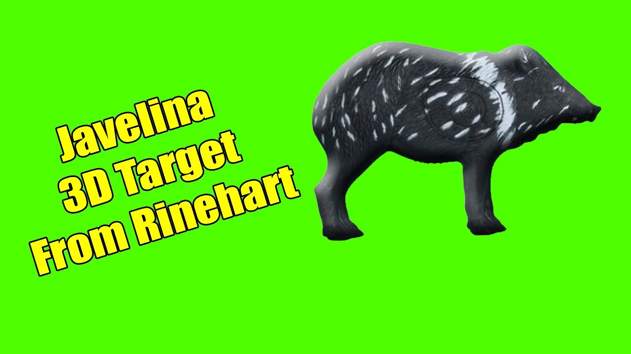 Javelina 3D Target by Rinehart YouTube