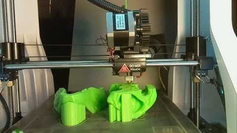 T Rex Skull - 3D Print Timelapse