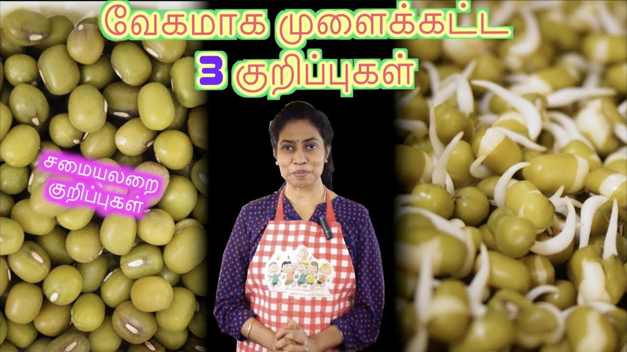 3 Tips for Fast Sprouting - in Tamil | Recipe Links ...