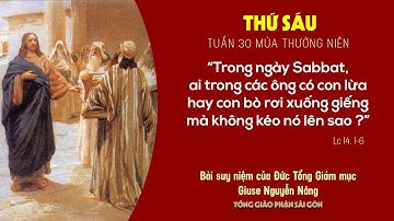 Suy niệm Tin mừng ngày 30-10-2020: thứ Sáu tuần 30 mùa Thường niên - ĐTGM Giuse Nguyễn Năng