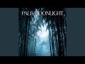 Pale Moonlight