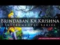 Brindaban Ka Krishna Kanhaiya (Flute Instrumental)