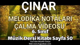 Çınar Melodika Notaları ve Çalma Videosu 6. Sınıf Müzik Dersi Kitabı Sayfa 50 Resimi