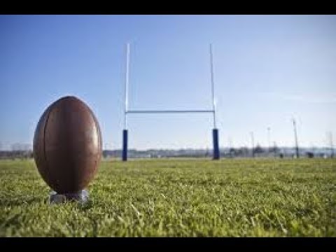 საქართველო - ბარბაროსები  გადამწყვეტი გარდასახვა გაიტანს? [By ყველანაირი]