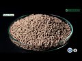 Molecular Sieve By Sorbead India - Reasons to Buy...