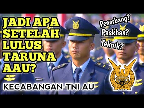 Video: Apakah Angkatan Udara karir yang baik?