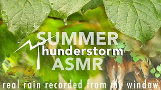 Natural sounds of rain, wind & thunder | ASMR | Perfect for sleep, meditation or studying