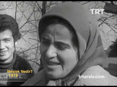 Video: Meslek Nedir