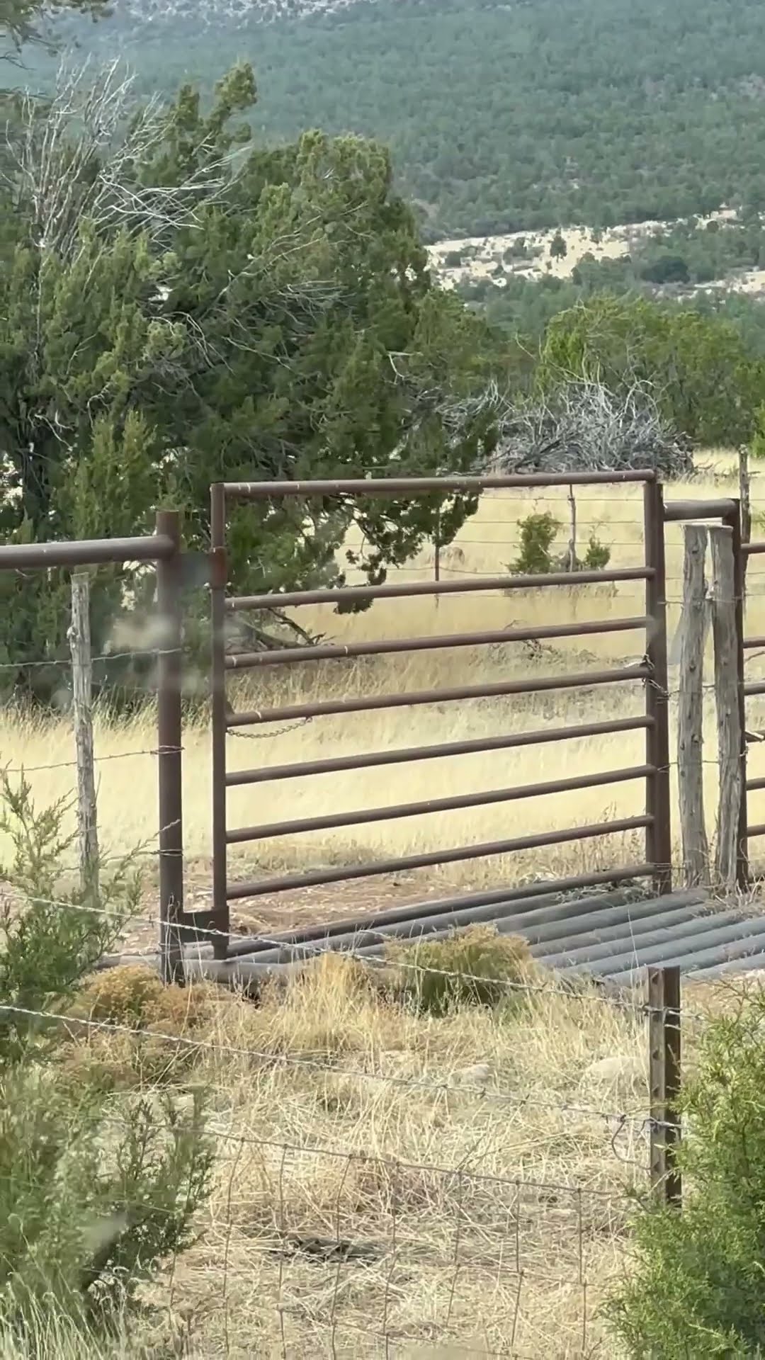 Weirdly Vibrating Gate || ViralHog