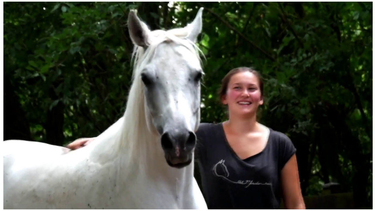 Being with horses -Everyday life