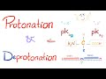 Amino Acids (Part 3): pH and Pka | Biochemistry for MCAT, DAT, NEET