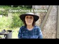 Planting Green Onions, Flowers, & Greasy Beans