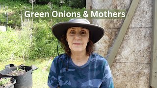 Planting Green Onions, Flowers, & Greasy Beans